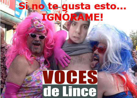 Elmer Arce Voces de Lince